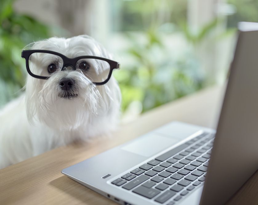 Question of the Week